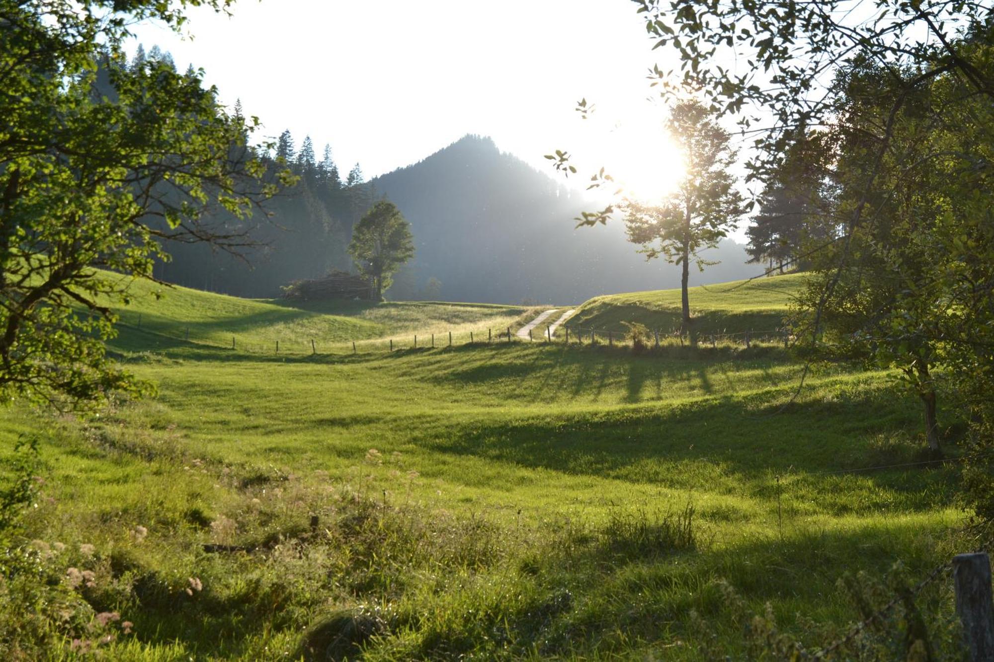 Ferienstadl - Hammerau Гестлинг-на-Ибсе Экстерьер фото